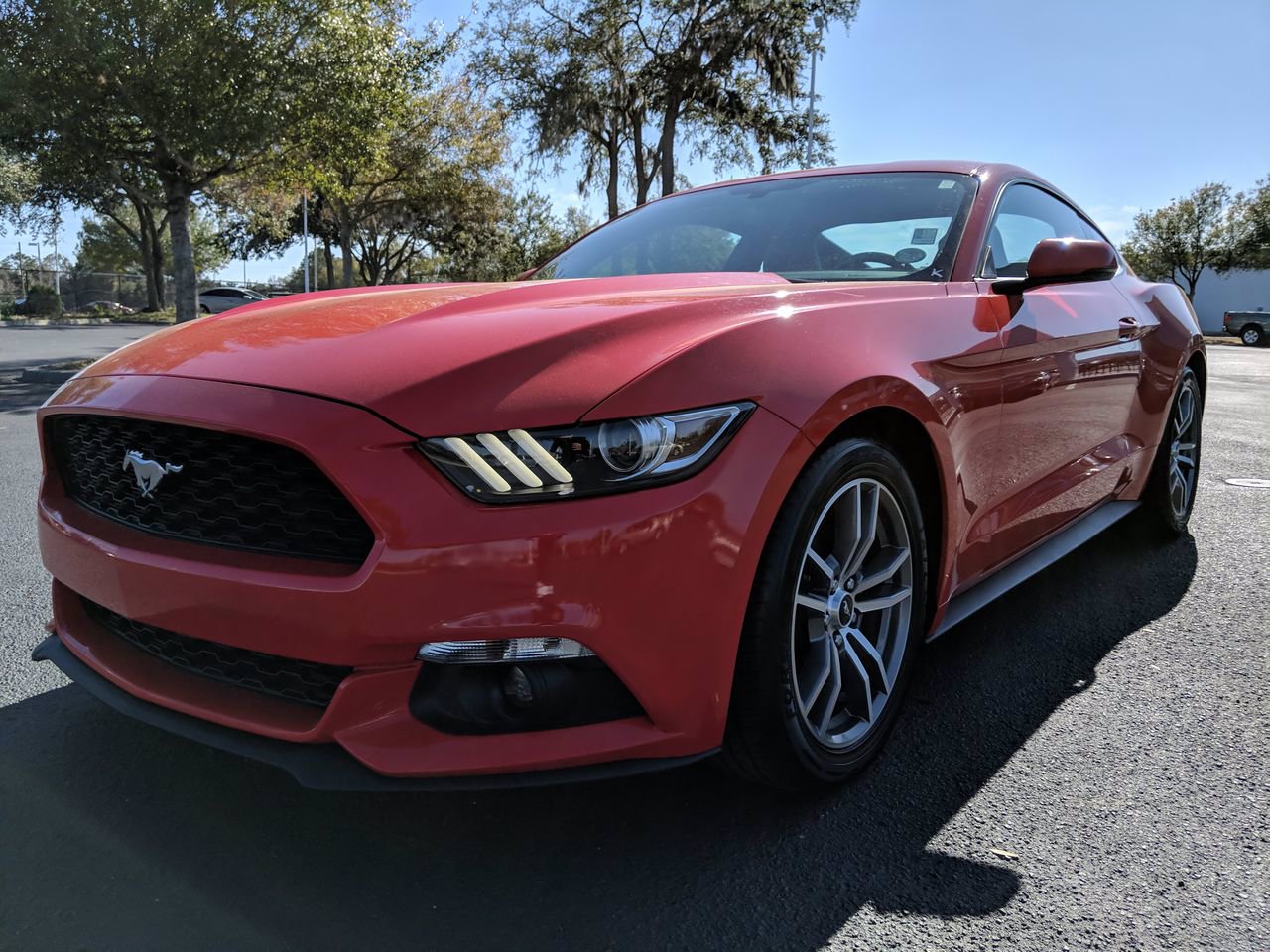 Pre-Owned 2017 FORD MUSTANG ECOBOOST PREMIUM 2DR ECO FASTBACK in Ocala